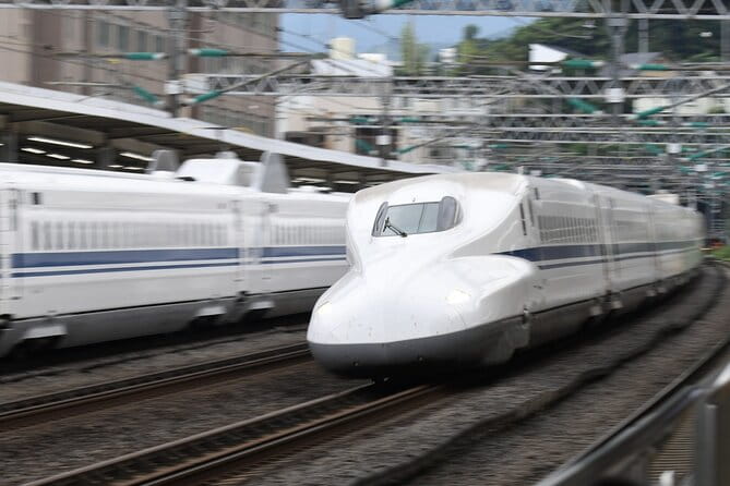 Day Trip Kyoto From Tokyo With a Licensed Guide by Bullet Train - Inclusions