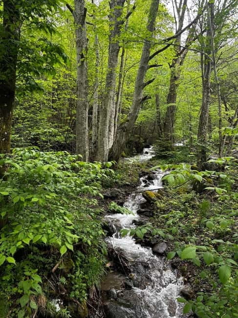 Day Trip: Rila Monastery & Ivan Rilski Cave  Small Group - Dining and Additional Tips
