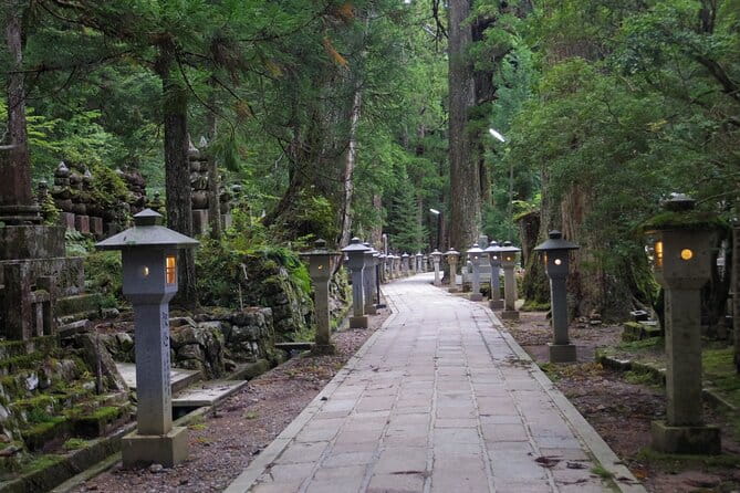Day Trip Sacred Sites at Koyasan From Osaka - Special Requirements
