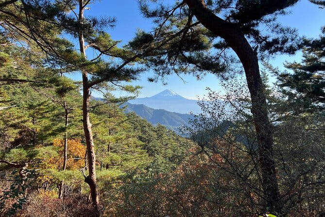 Day Trip Shosen Valley From Tokyo - Discovering Unique Flora and Fauna