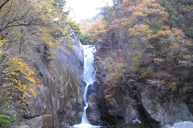Day Trip Shosen Valley From Tokyo - Flexibility and Customization