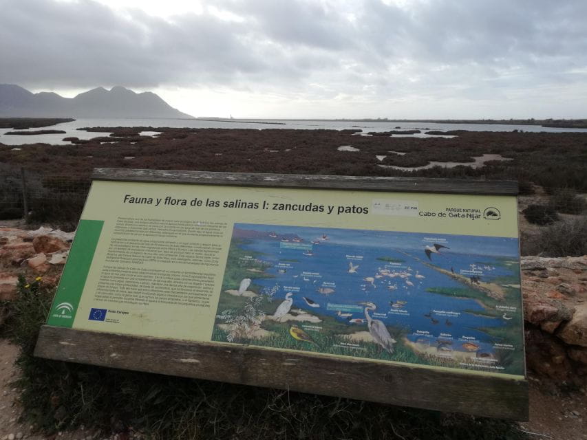 Day Trip to Cabo De Gata–Nijar Natural Park - Scenic Views and Impressions