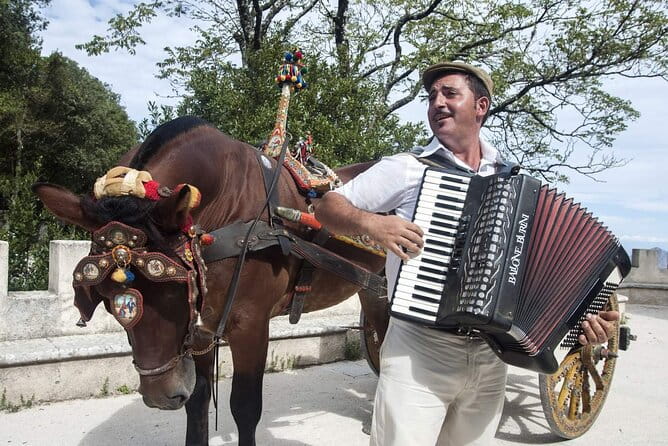 Day Trip to Erice, Scopello, Castellammare, Saline Reserve - FAQs