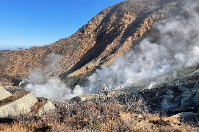 Day Trip to Hakone From Tokyo With National Licensed Guide - Dining and Dietary Accommodations