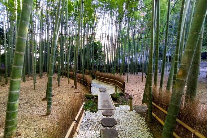 Day Trip to Kamakura & Enoshima: Shrines, Seaside, Temples & Tea - Tour Details