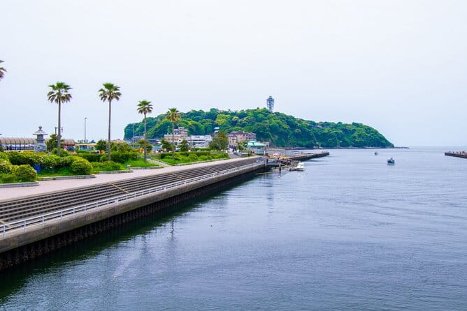Day Trip to Kamakura & Enoshima: Shrines, Seaside, Temples & Tea - Pricing and Cancellation