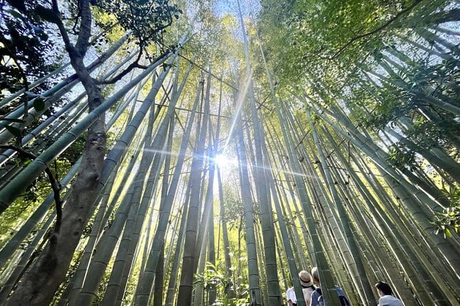 Day Trip to Kamakura & Enoshima: Shrines, Seaside, Temples & Tea - Discovering Enoshima Island