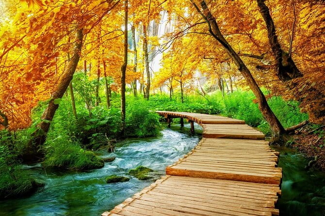 Day Trip to Plitvice lakes From Split - Inside Plitvice Lakes National Park