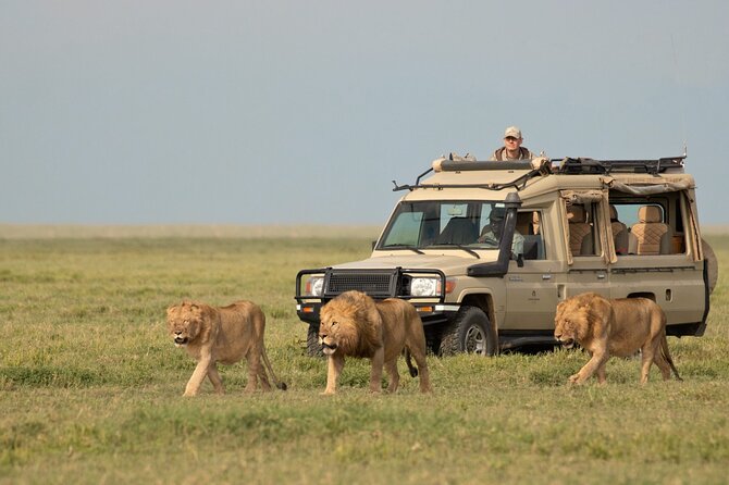 Day Trip to Selous (Nyerere) National Park Flying From Zanzibar - Accessibility and Participation