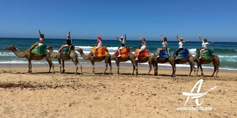 Day trip to Tangier from Tarifa all inclusive - The Sum Up: Is This Tour Right for You?