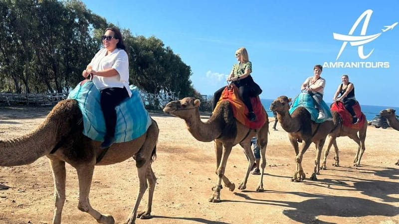 Day Trip to Tangier Morocco from Cadiz all inclusive - Final Thoughts: Who Is This Tour Best For?