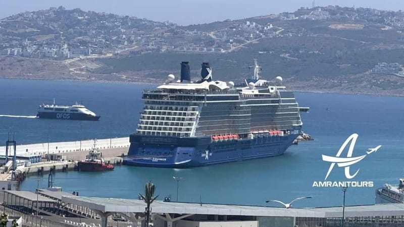 Day Trip to Tangier Morocco from Marbella all inclusive - Exploring the Medina and Kasbah: A Maze of Color and Flavors