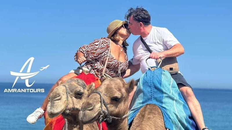 Day Trip to Tangier Morocco from Marbella all inclusive - Price and Value: Is It Worth It?