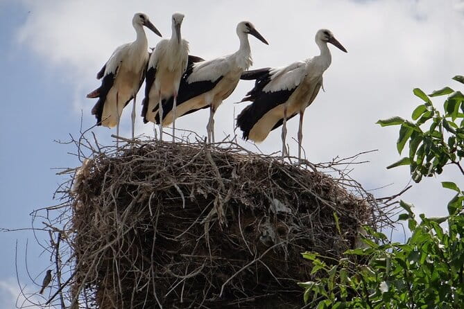 Day Trip to Tatev Monastery - Final Thoughts