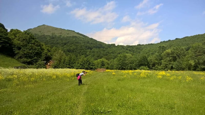 Day Trip to the Land of Hidden Caves - Price and Value