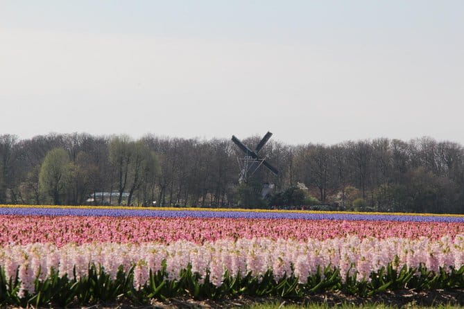 Day Trip To Tulip Gardens Of Keukenhof From Amsterdam: Private & Personalized - Unique Experience: Whisper Boat Ride & Cycling in the Fields