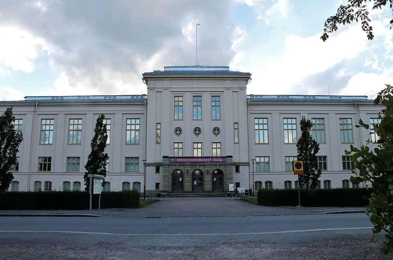 Day Trip to Uppsala - Key points / Takeaways