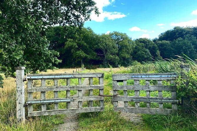 Daytrip Bike Tour on the Swedish Countryside Private - Exploring Malmö’s Countryside on Two Wheels