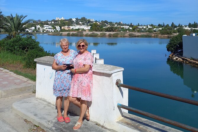 Daytrip to Tunis, Carthage, Sidi Bousaid, and the Bardo Museum From Hammamet - Key Points
