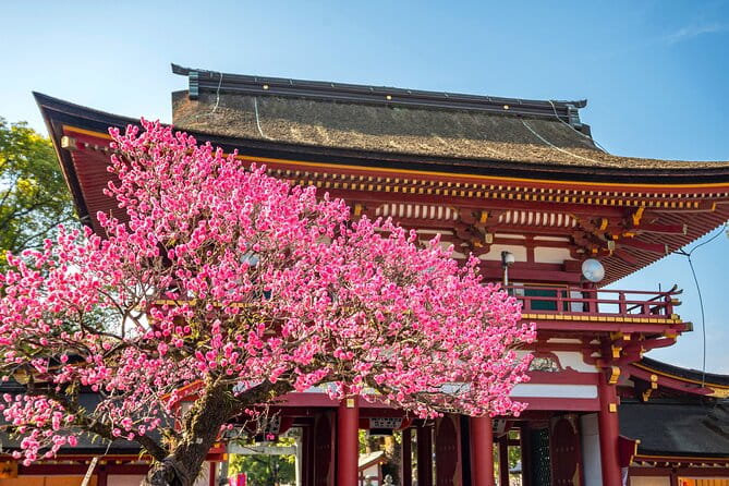Dazaifu Bungo Mori Roundhouse Beppu Yufuin Private Tour - Detailed Itinerary