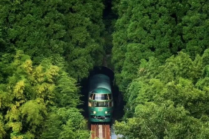 Dazaifu Nyoirinji Temple Yufuin One Day Tour From Fukuoka - Transportation Options