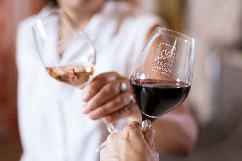 Dégustation Terroir : Journey to the heart of Domaine Castan's flavours - Who Will Love This Experience?
