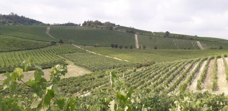 Degustazione di vini del Monferrato con visita della cantina - Key points / Takeaways