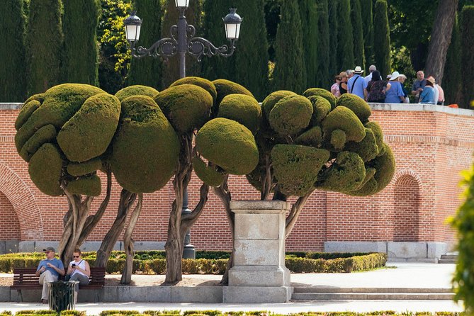 Del Prado and Surroundings Private Tour With Locals - Practical Information for Guests