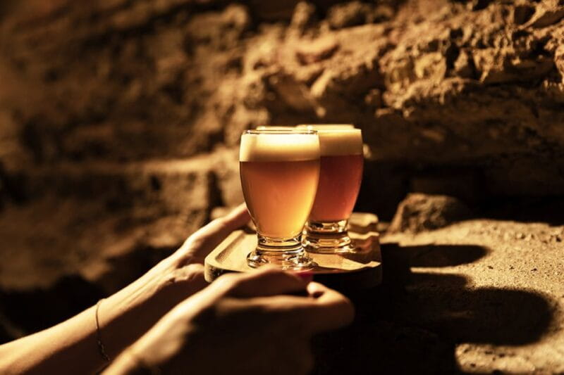 Delft: Craft Beer Tasting in Medieval Brewery with Snacks - Who Will Love This Experience?