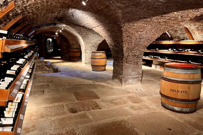 Délicave: Immersive Exhibition & Wine Tasting - Key Points / Takeaways