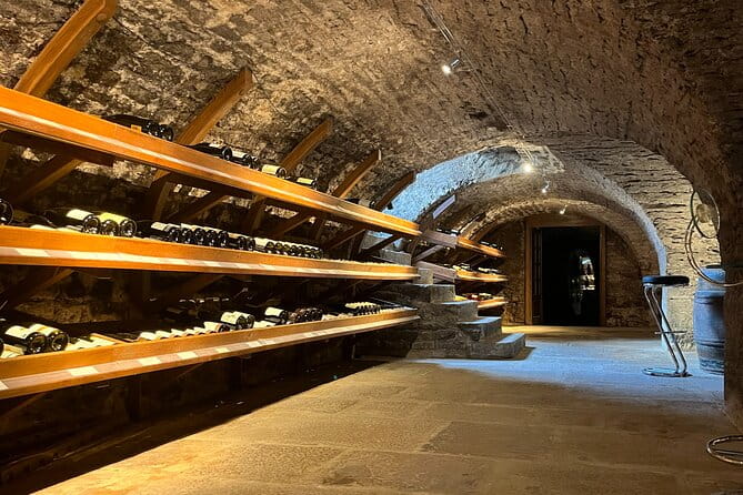 Délicave: Immersive Exhibition & Wine Tasting - Exploring the Experience in Detail