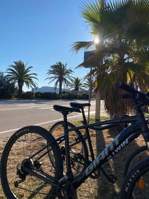 Delivery bike for 6hours Castello/Molentargius/Poetto/Quartu - Key Points to Take Away