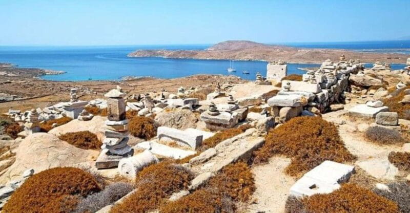 Delos and Mykonos One Day Cruise from Naxos - Navigating the Day: From Naxos to Ancient Ruins and Cosmo Streets
