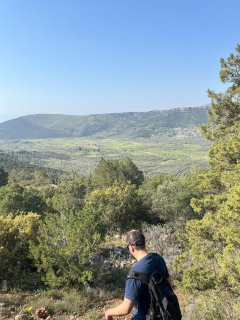 Delphi: Easy Hike from the Monastery to the Mycenaean tomb - Exploring Delphi’s Hidden Path: A Walk from the Monastery to the Mycenaean Tomb