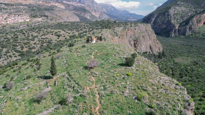 Delphi: Easy Hike on Ancient Path through the Olive Groves - Key Points / Takeaways