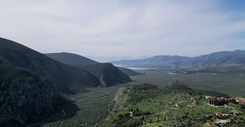 Delphi: Easy Hike on Ancient Path through the Olive Groves - Practical Tips for a Smooth Experience