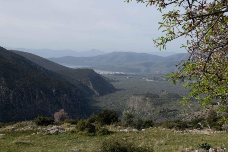 Delphi: Easy Hike on Ancient Path through the Olive Groves - FAQ