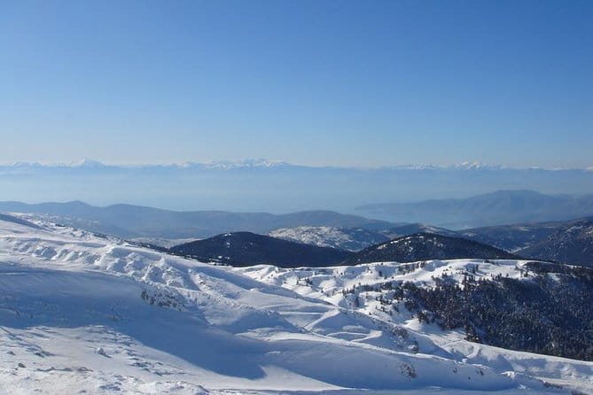 Delphi Private Full-day trip from Athens - Who Would Enjoy This Tour?