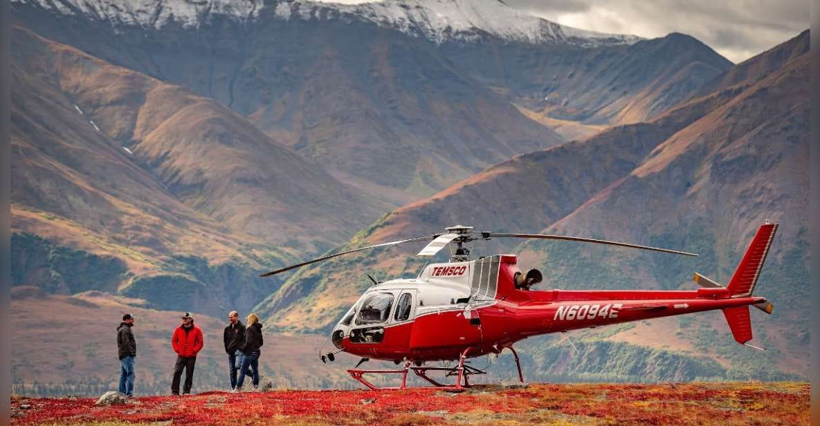 Denali National Park: Helicopter and Hike Adventure - Hiking Experience