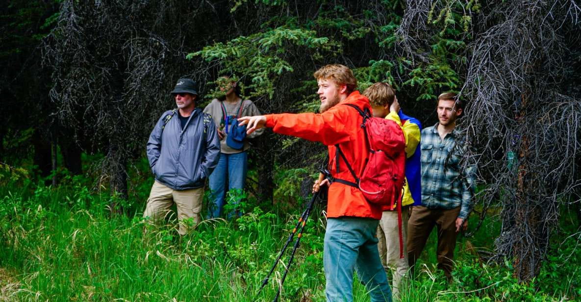Denali: Naturalist Walking Tour in Denali National Park - Experience Highlights