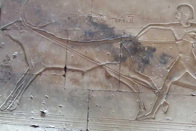 Dendera and Abydos Temples Day Tour From Luxor - Marveling at Dendera Temple