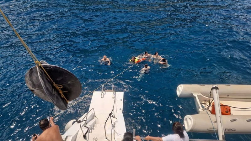 Denia/Jávea: a day at sea with paella on Isla Portitxol - Price, Logistics, and Suitability