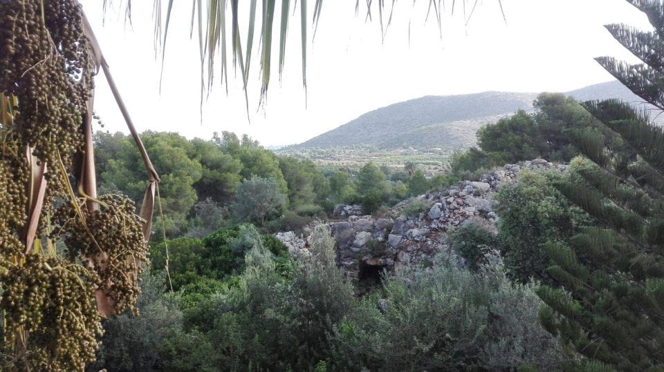 Denia: LAlbarda Garden Entry Ticket - Best Time to Visit