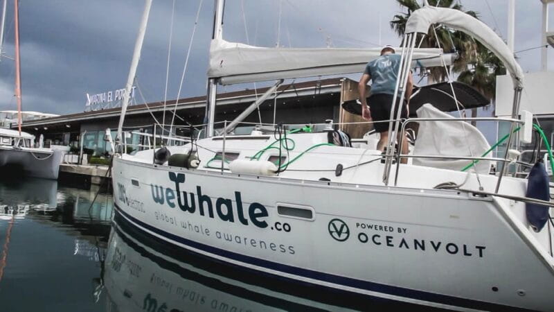 Denia: Sunset Electric Sailboat Cruise with Dolphin Spotting - Who Will Love This Experience?