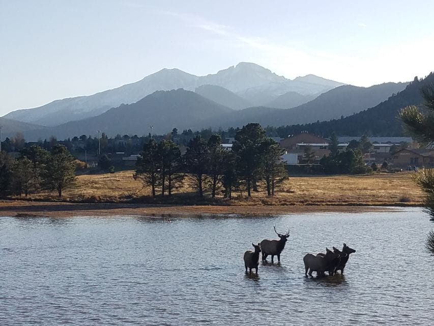 Denver: Rocky Mountain National Park Tour With Picnic Lunch - Wildlife Viewing Opportunities