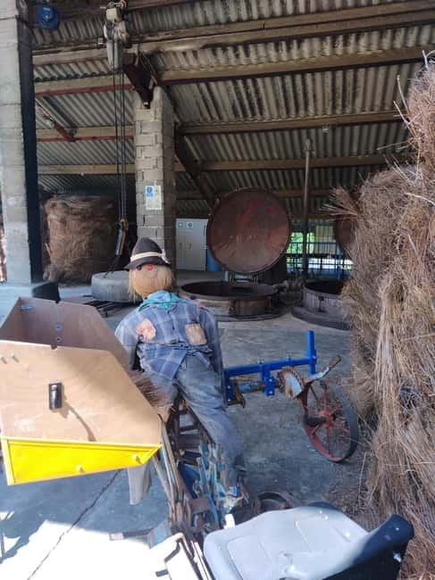 departing from Avignon, Classic lavender tour - A Day in Provence: Lavender, Villages, and Abbeys