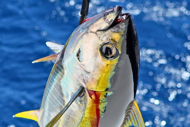 Departing From Onna Village (Maeda Fishing Port)! Fishing Experience/Trolling | Complete Boat Charter Plan (4 Hour Course/7 Hour Course) - Meeting Point and Directions