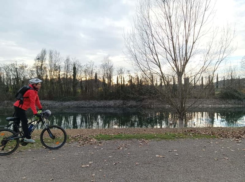 Desenzano d/G: guided bike day trip + selected wines, cooking class - Who Will Love This Tour?