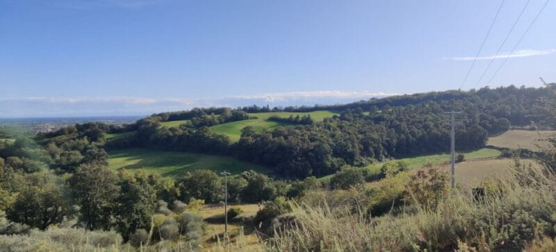 Desenzano: e-Bike Tour with Wine Tasting - Practical Tips for Your Tour