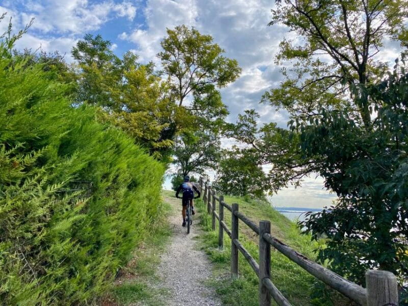 Desenzano: e-Bike Tour with Wine Tasting - FAQ